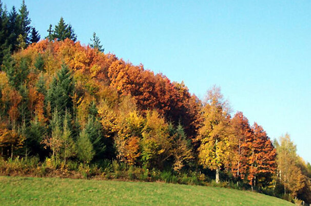 6935_8.jpg