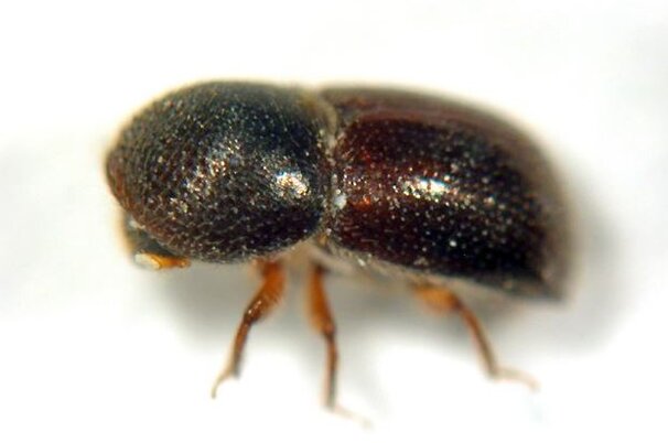 71835_8.jpg