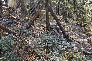 76299_8.jpg