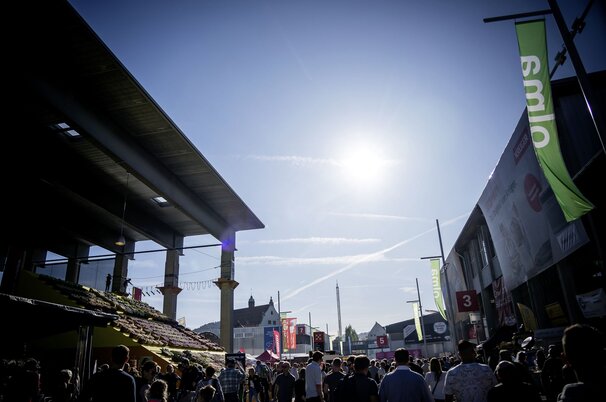 06803dbd-d7ea-3d8c-7c0a-b8b50f667bce-136994.jpeg
