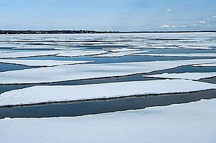 45931_8.jpg