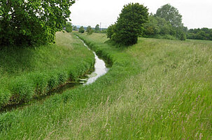 6082_8.jpg