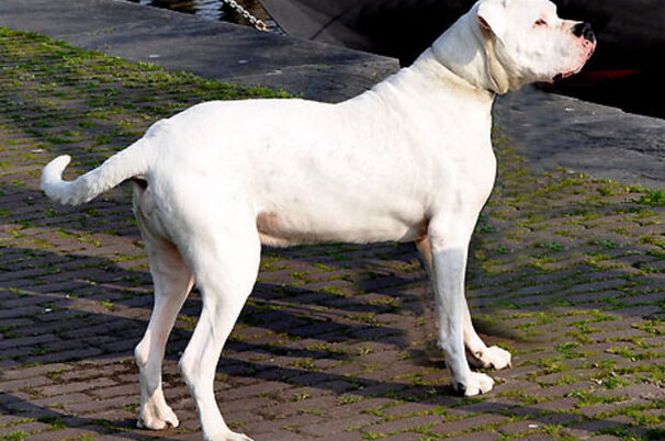 6873_8.jpg