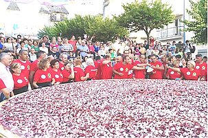 57354_8.jpg