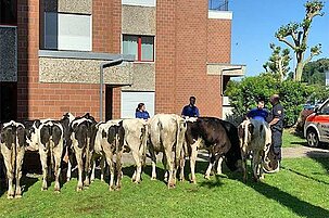 91731_8-1.jpg