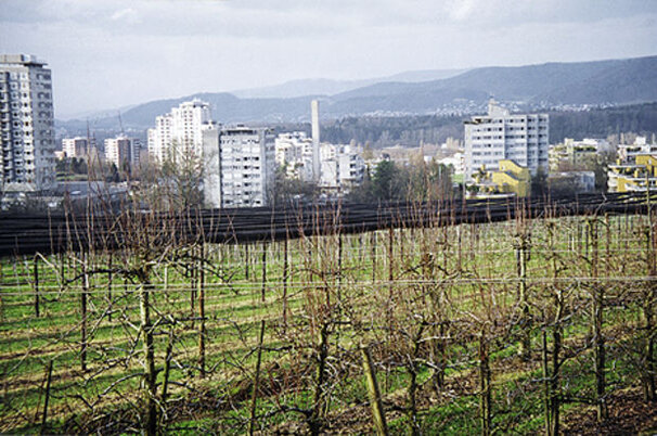 992_8.jpg