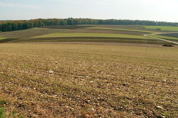 31345_8.jpg