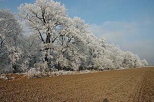 60074_8.jpg