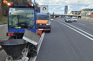 77815_8.jpg