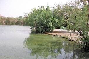 36933_8.jpg