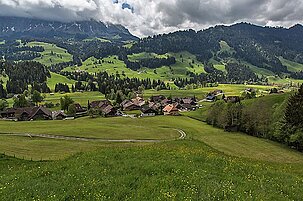 41920_8.jpg