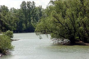 72256_8.jpg