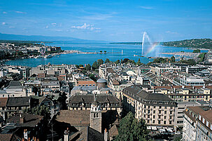 7361_8.jpg