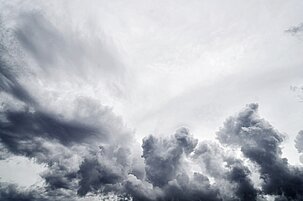 db20ec3a-675c-f40c-8c2e-ab365c68c212-42254.jpeg