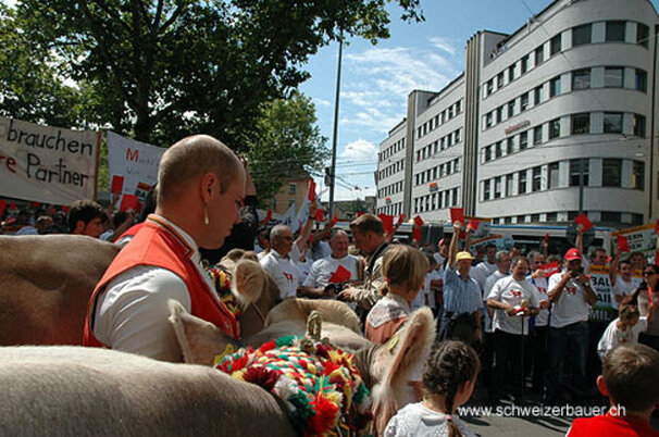 17352_8.jpg