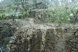 48192_8.jpg
