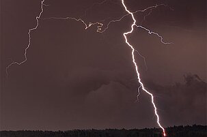 74961_8.jpg
