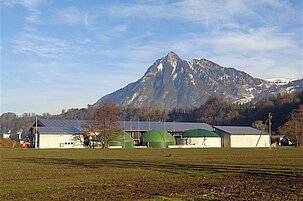 88049_8.jpg