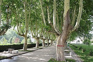 43307_8.jpg