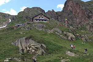 90077_8-1.jpg