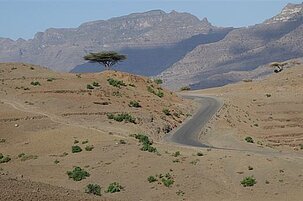 83516_8.jpg