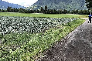 91879_8.jpg
