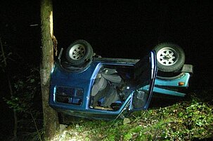 93981_8.jpg
