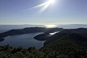 1974e926-f822-b776-01aa-a892e380db9f-131865.jpeg