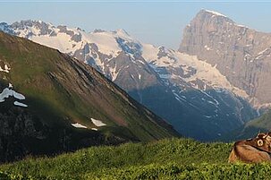 35352_8.jpg