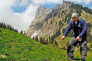 40077_8.jpg