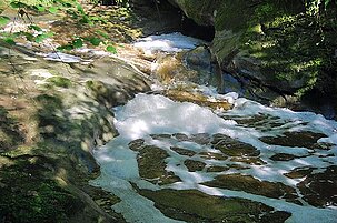 63798_8.jpg