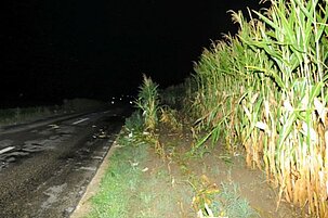 75004_8.jpg