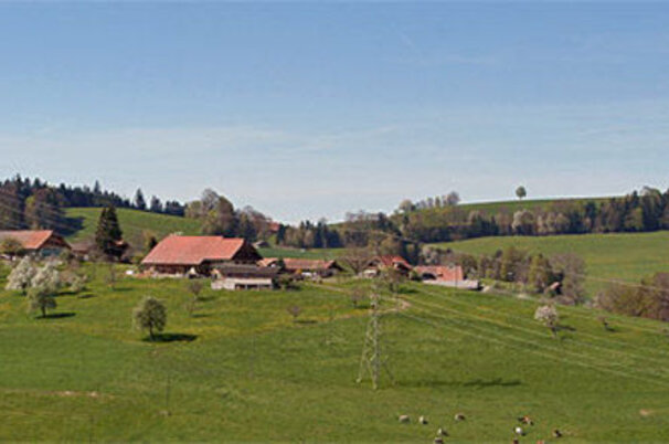 5041_8.jpg