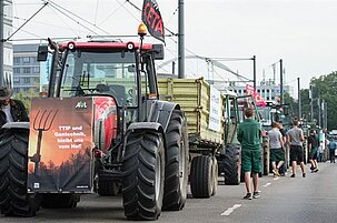 58103_8.jpg