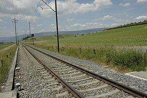 760c101d-8c9c-2236-29b1-dc5181de45e7-34006-scaled.jpeg