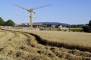 6d8a63ea-b922-fce4-9c5d-eaa92324d0d7-134122.jpeg