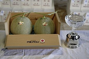 73ffb8f6-bf65-7862-c595-f9ab3edd368a-95778.jpeg