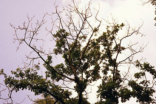 74548_8.jpg