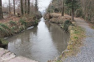 39596_8.jpg