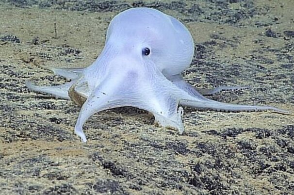 53974_8.jpg