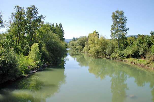 7354_8.jpg
