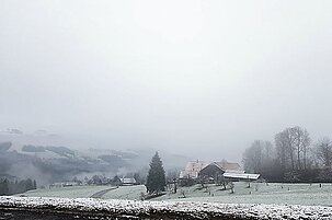 71603_8-1.jpg
