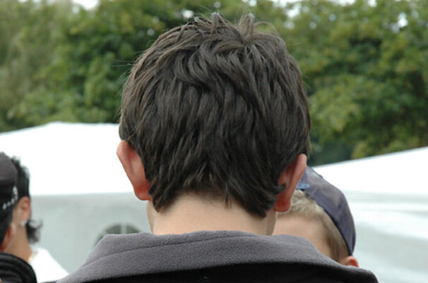 8739_8.jpg