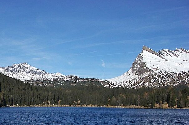 40189_8.jpg