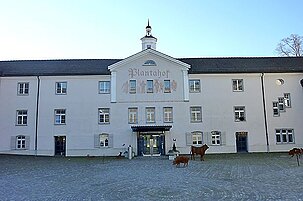 60021_8.jpg