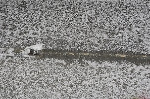 6a852779-4974-8b2c-364a-1c56b41ea667-44842-scaled.jpeg