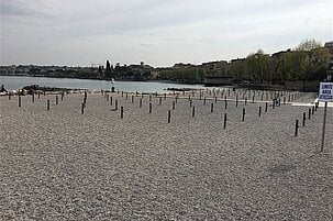 91460_8.jpg
