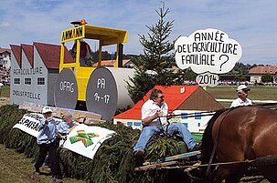42315_8.jpg