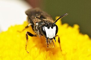 47675_8.jpg