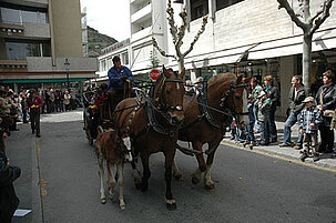 24152_8.jpg